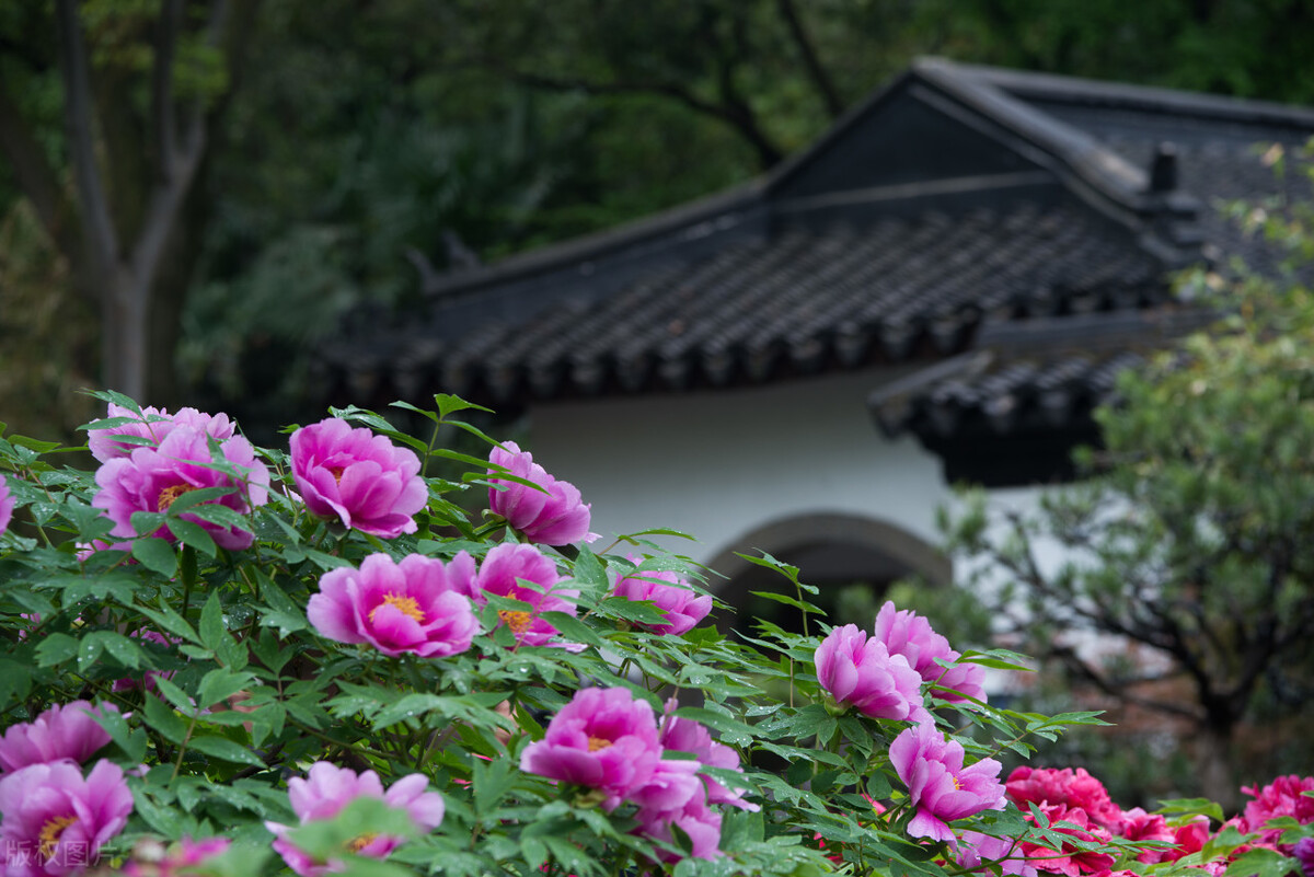 常州有什么好玩的地方旅游景点（常州有什么好玩的地方旅游景点免费）-第24张图片-易算准