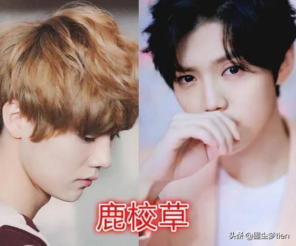 原來綽號是這樣來的（原來明星也有綽號，肖戰、王一博、鹿晗都有，你還知道誰的？）