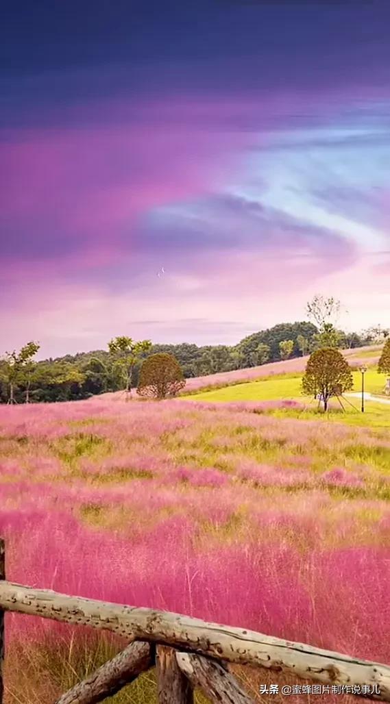 壁纸美图,美的风景为您带来愉快的心情