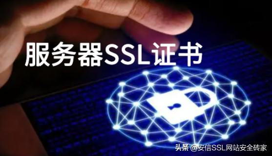 服务器SSL证书和域名证书的区别
