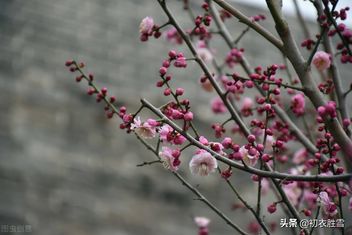 冬夜好诗四首：冬夜沈沈夜坐吟，盛衰空见本来心