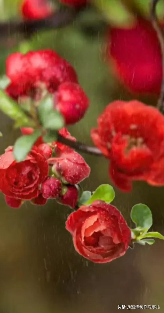 一路鲜花相伴，一路芬芳相随