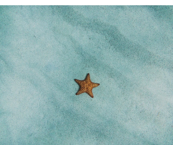 处女座：你是恩赐，也是“劫”