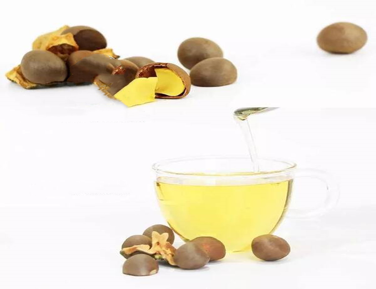 「茶叶籽油、油茶籽油、茶树油」这些带“茶”字的油，有什么区别