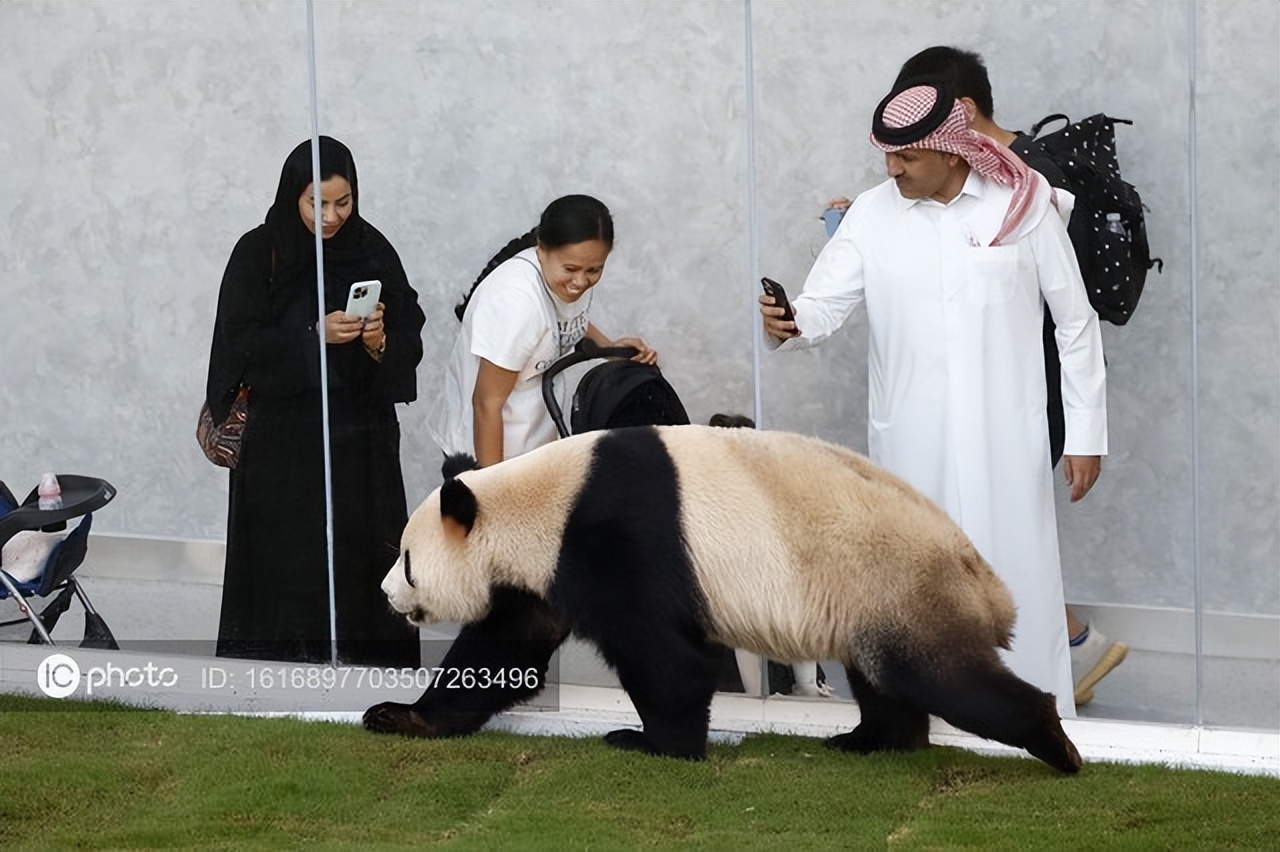 中国参加了哪一次世界杯（中国队参加2022卡塔尔世界杯，是不可忽视的存在）