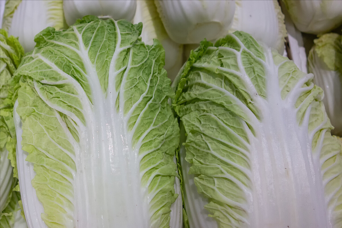 蔬菜的分类都有哪些（26种不同的蔬菜和吃法）