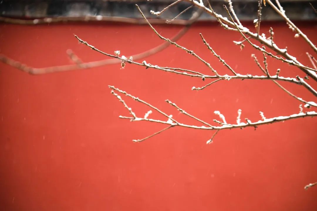 写雪最美的10首诗词，如冰如玉，纯美轻盈，美到灵魂里