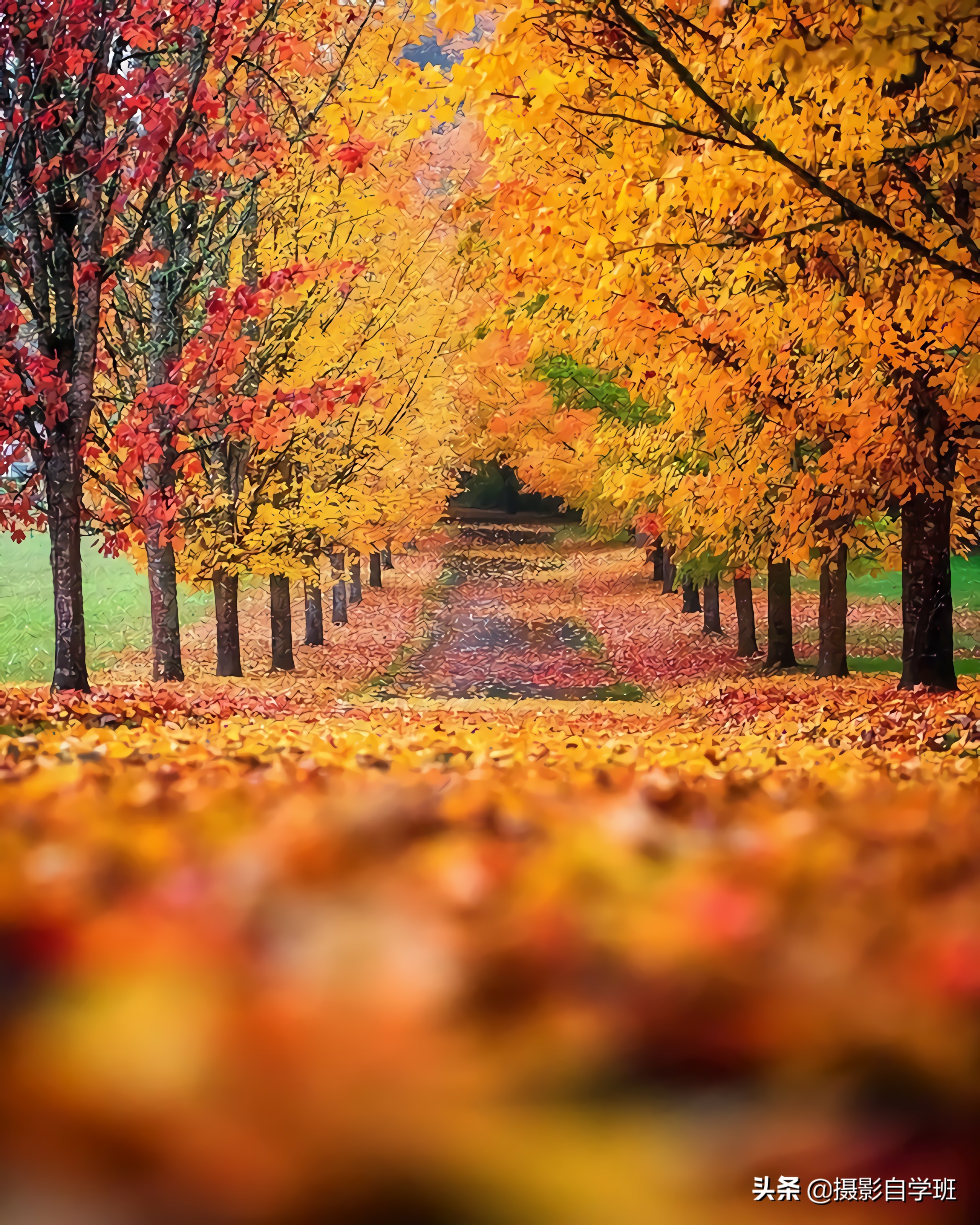 普通人一学就会,这7个风光摄影技巧,帮你风景照片不再普通