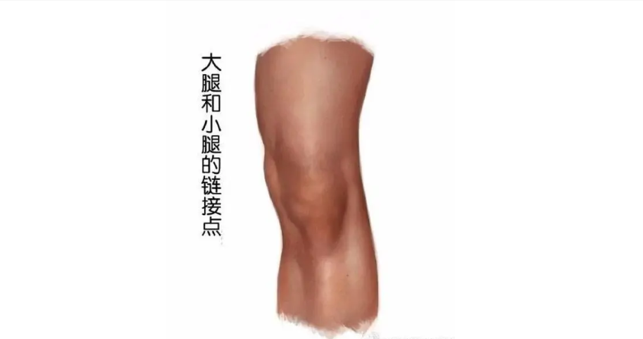 人类没发展出攻击性器官？其实有四大攻击手段，只是我们浑然不知