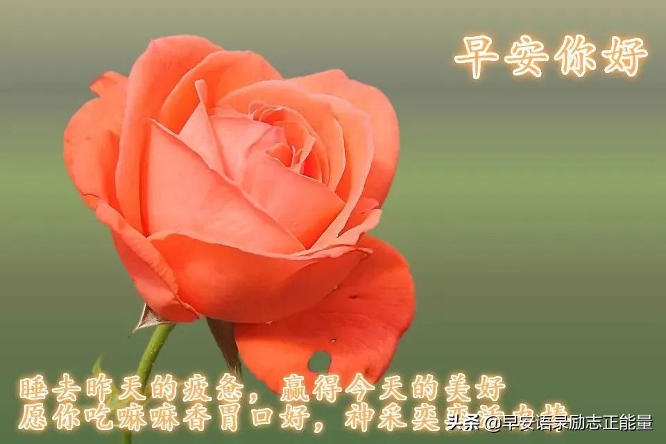 早安心语励志的语句，2022正能量励志语录短句