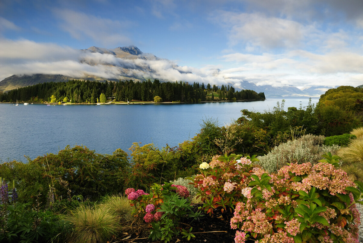 新西兰打工的那些事