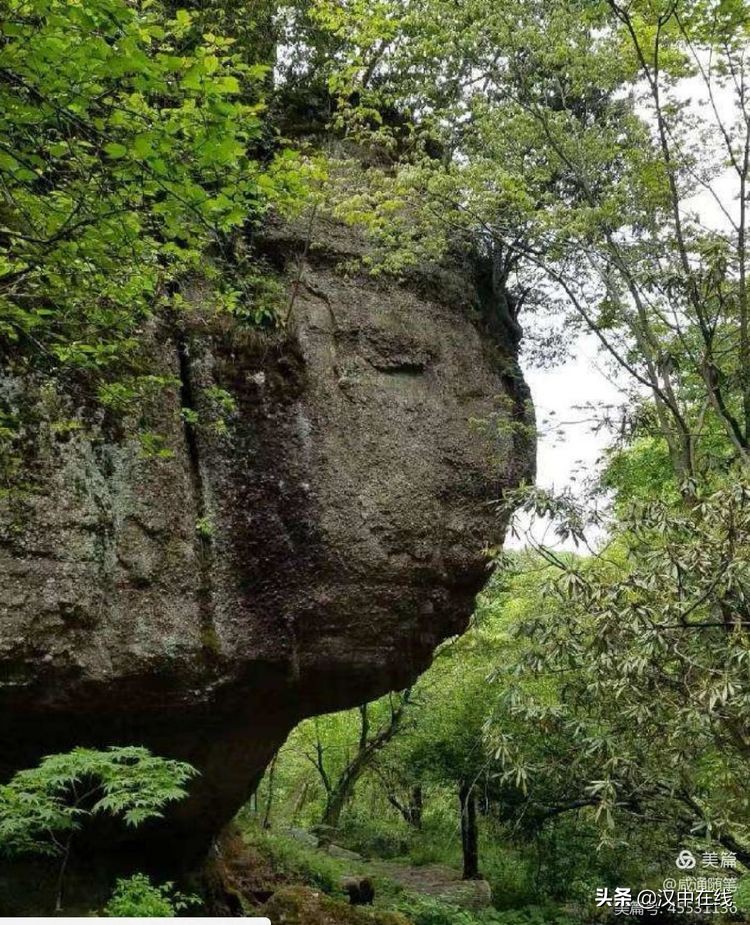 來此處踏青，不負(fù)春光不負(fù)卿