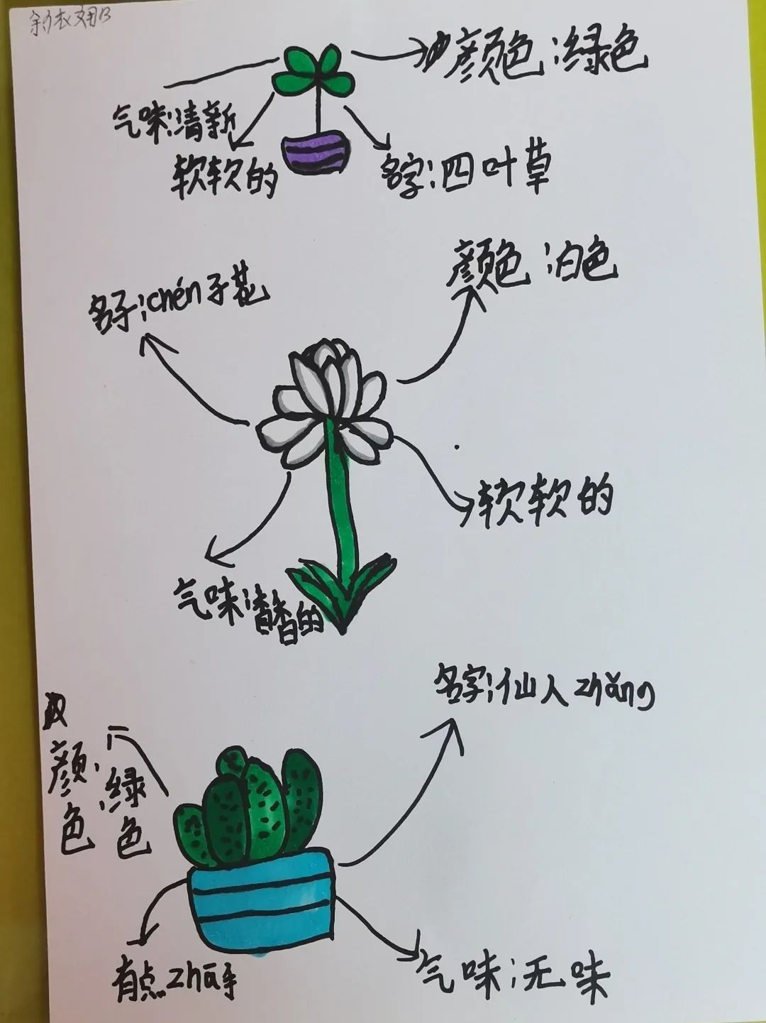 我爱我 从探索生命开始｜成都市双流区九江小学开展一系列活动