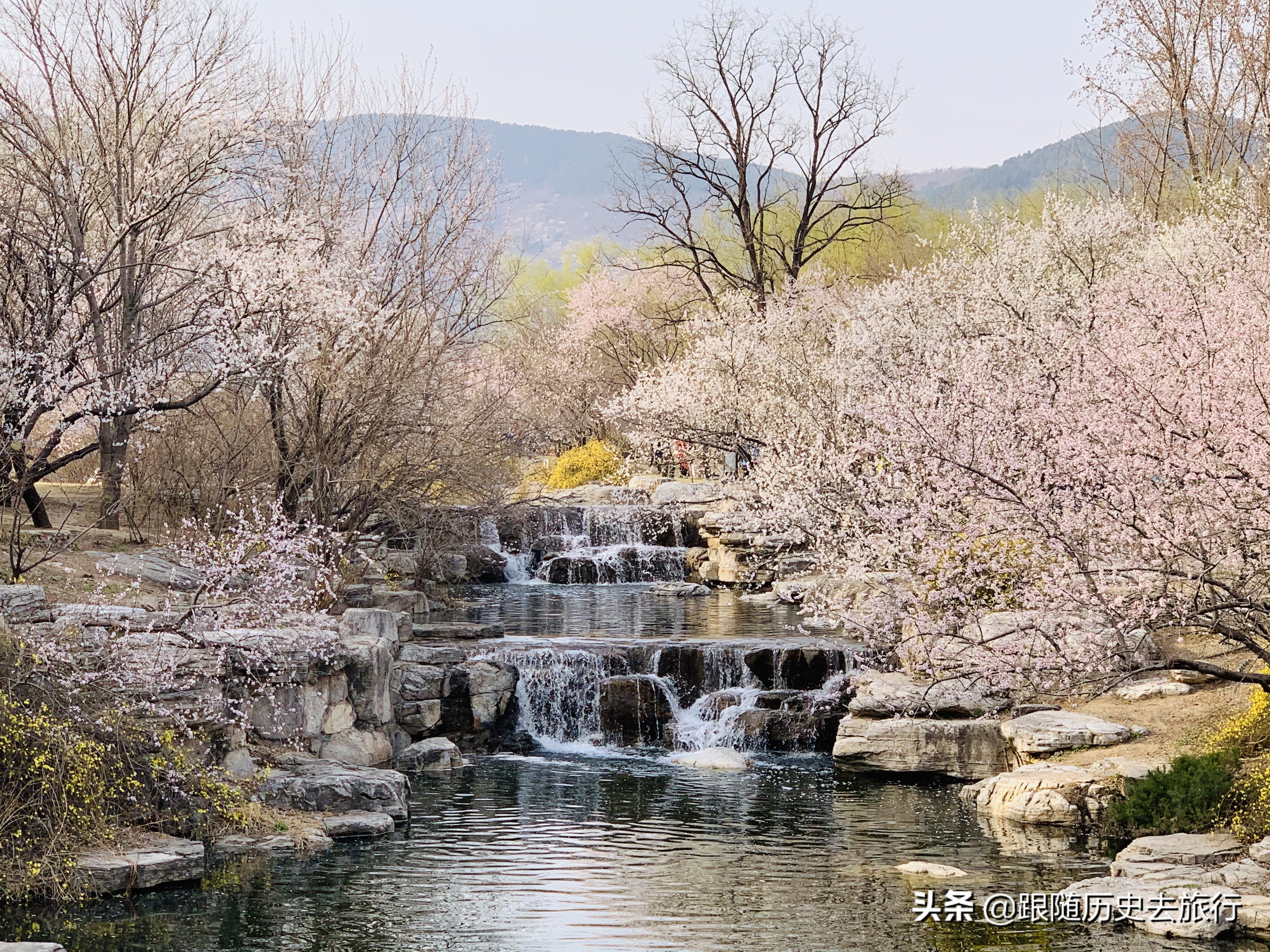 北京春日必去10大赏花公园！除了玉渊潭植物园，这几座也不要错过