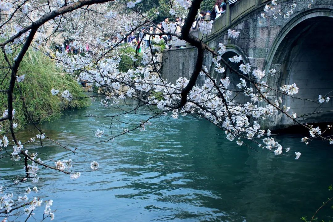 诗词里的“小桥流水”，古村旁，野花香，邂逅一段好时光