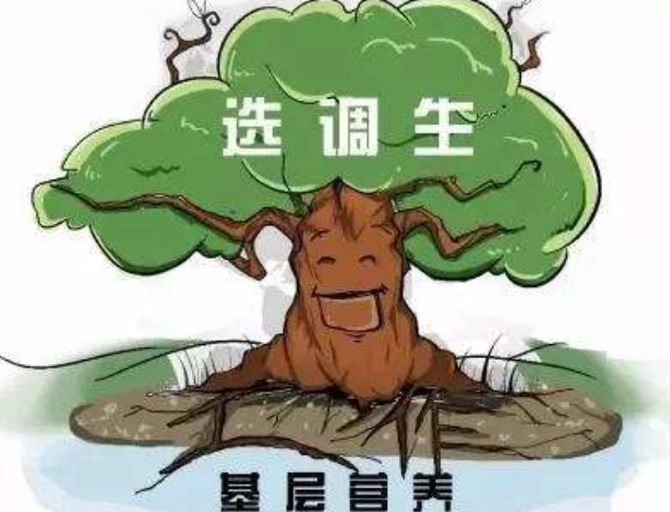 大学生考公有喜讯，符合条件有机会直接成为公务员，无需参加国考