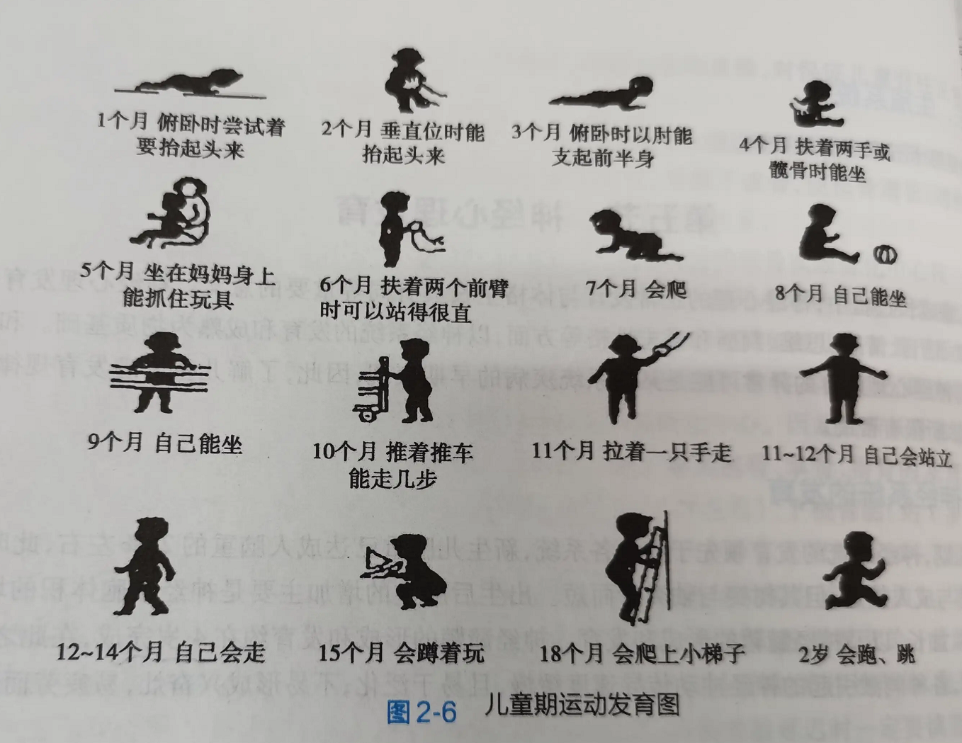 1~24个月宝宝大动作发育图:家长提前备好工具帮助孩子