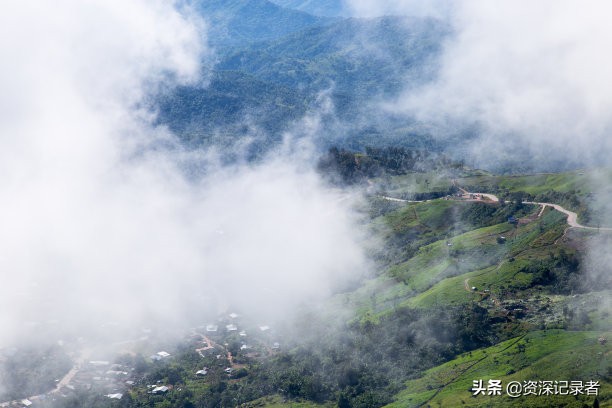 福建武夷山正皇国茶0加盟费0风险模式全国招商