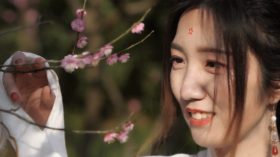 看完这篇文章，终于可以说一句：你好，南京的春天