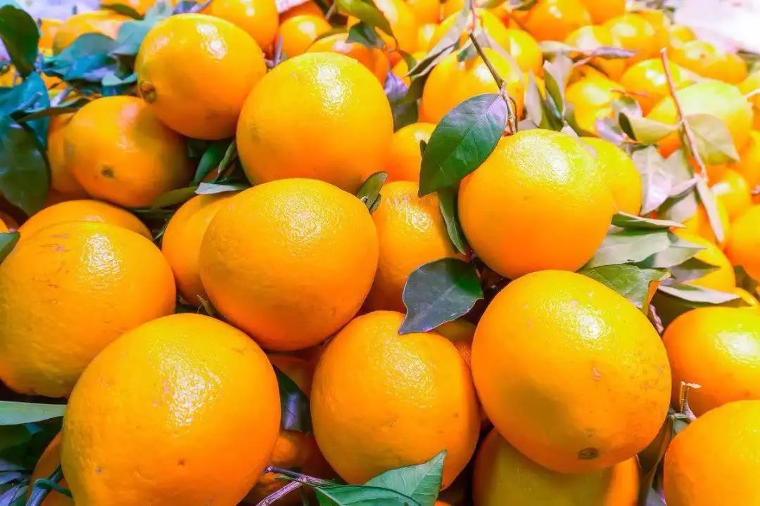 糖尿病患者吃橘子、橙子，到底是升血糖还是降血糖？早知道早了解