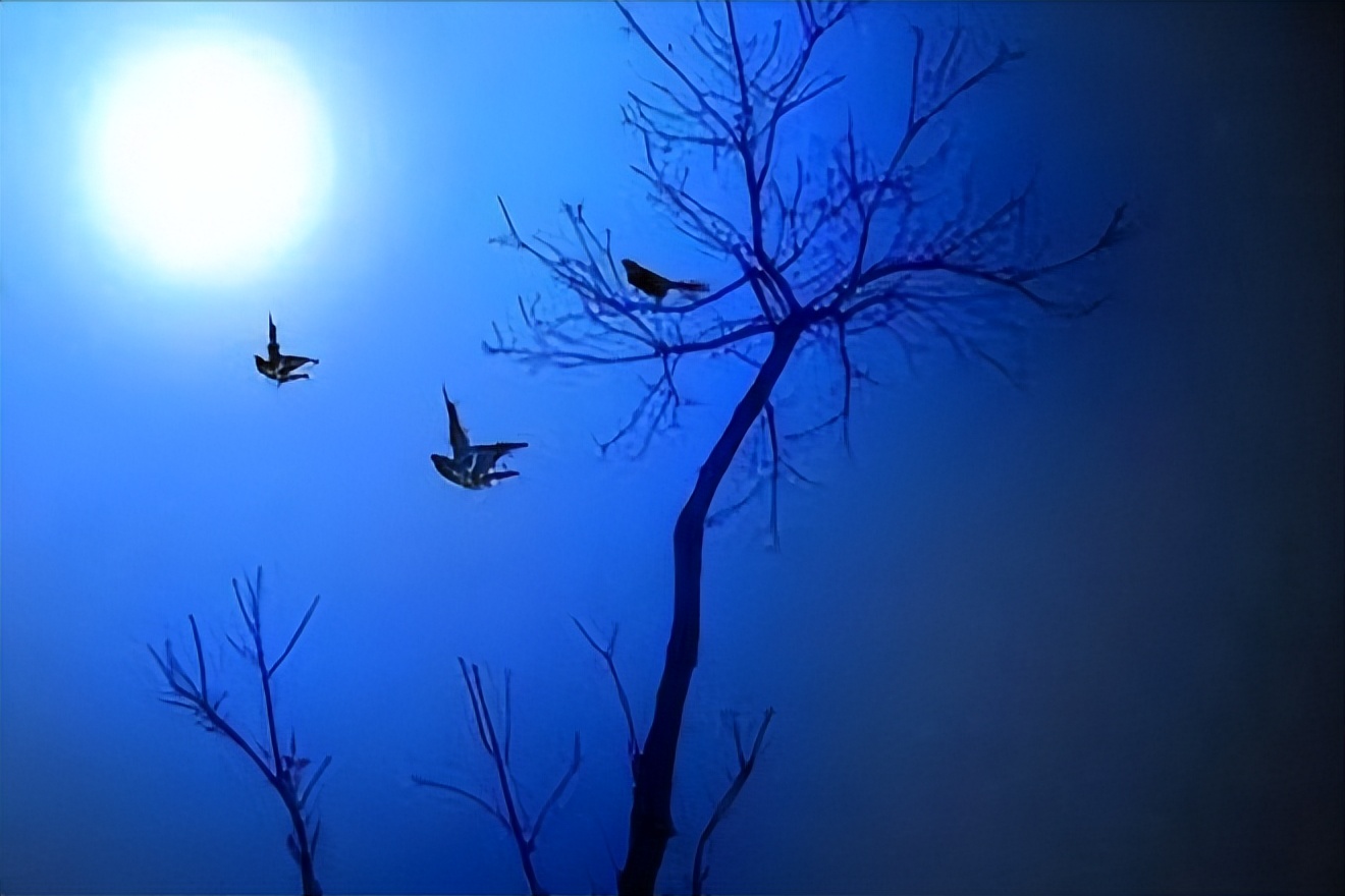 中国文学史上45首关于爱情的经典诗词，你最喜欢哪一首？