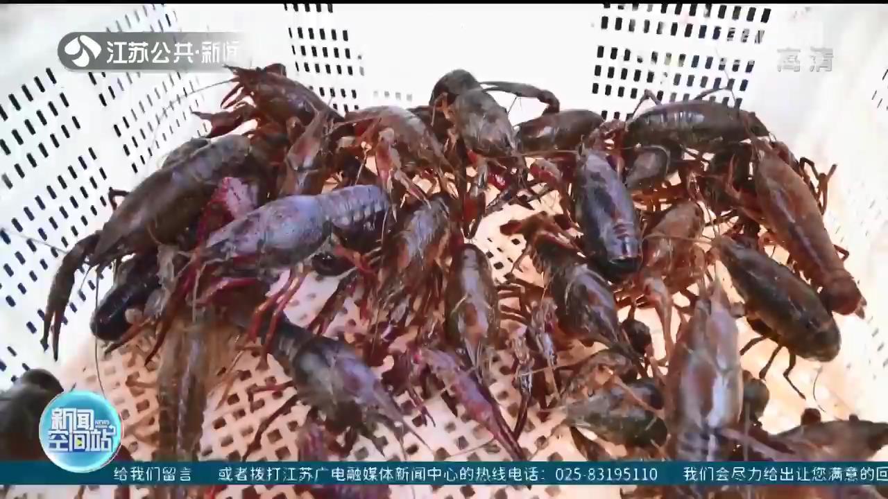 尝鲜！近期西瓜每斤4元到9元、小龙虾10元一斤