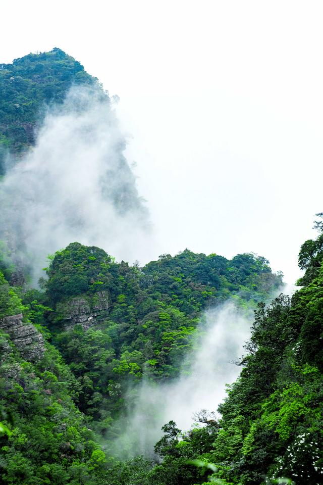 瑶山深处的旖旎风光，在这里看云海翻涌，不容错过的圣堂胜景