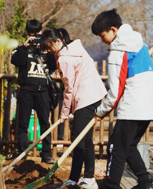 田亮夫妇带儿女露营，森碟和弟弟劈柴生火，干起活来一点不矫情​