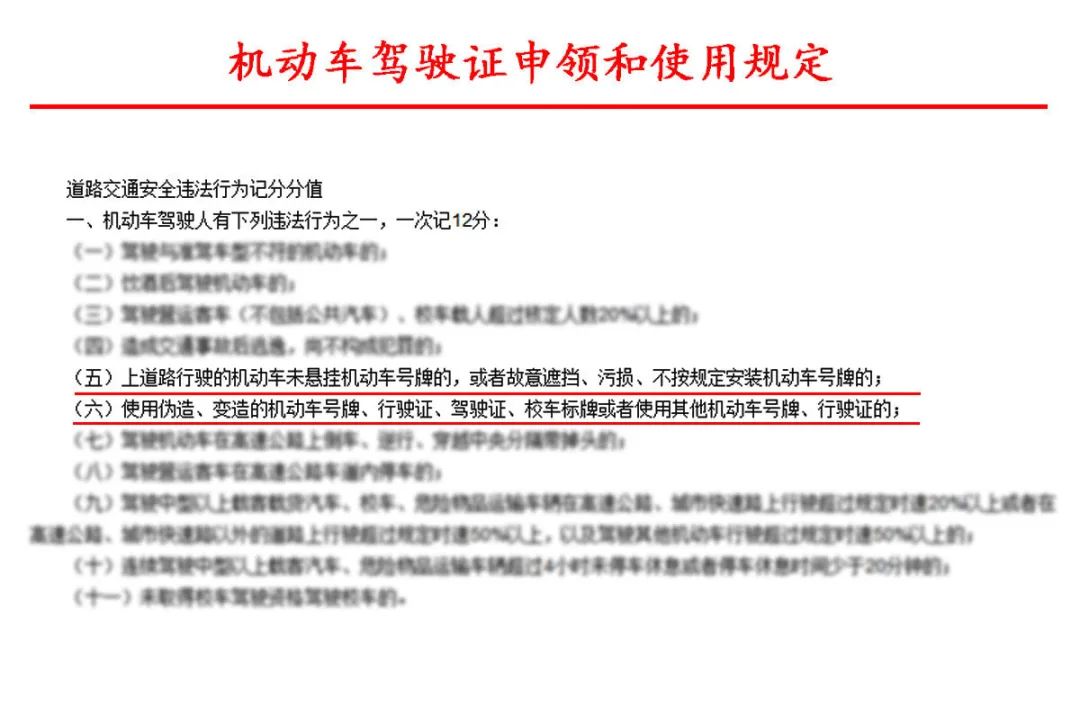 不按规定装号牌 新交规从12分直降3分