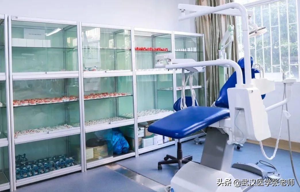 预科班口腔医学录取院校—云南医药健康职业学院