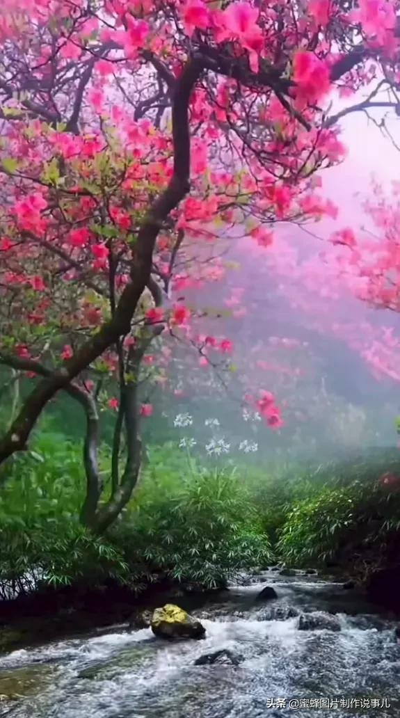 这择一处静地,寻一份安宁 .人间仙境,世外桃源.