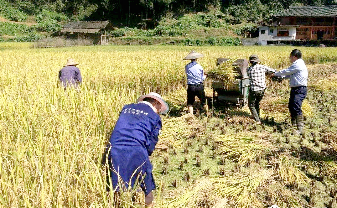 让劳动重归光荣已经是件亟待解决的大事