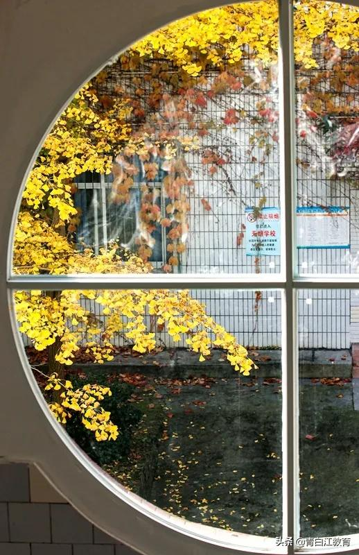 秋冬美图来袭① | 为你喜欢的校园美景投票吧