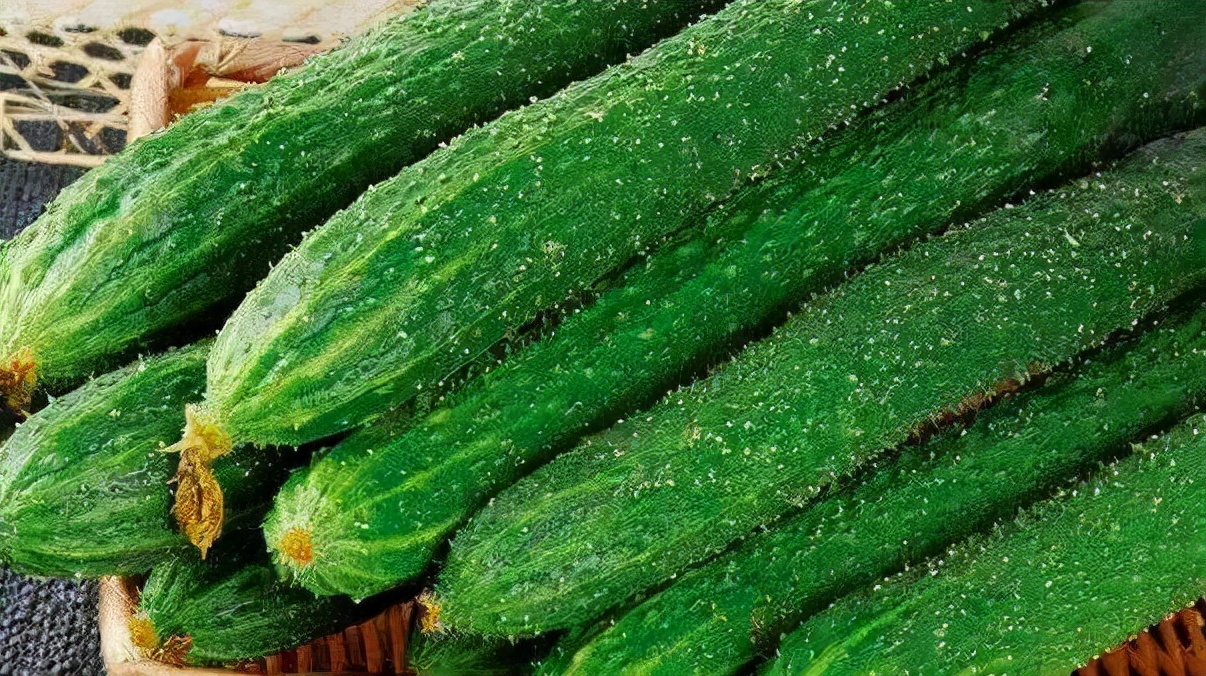 黄瓜的“死对头”或已找到，两者尽量不要一起食用，别不当回事