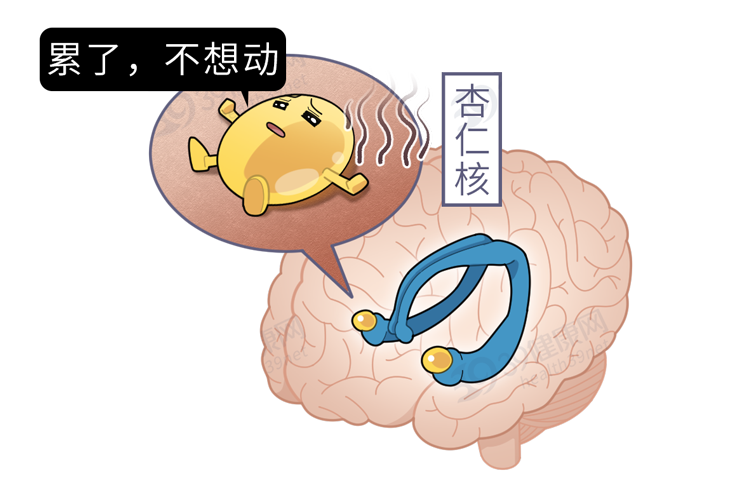 为什么男人更爱说谎？提醒女生：男友做这4个动作，或是有所隐瞒