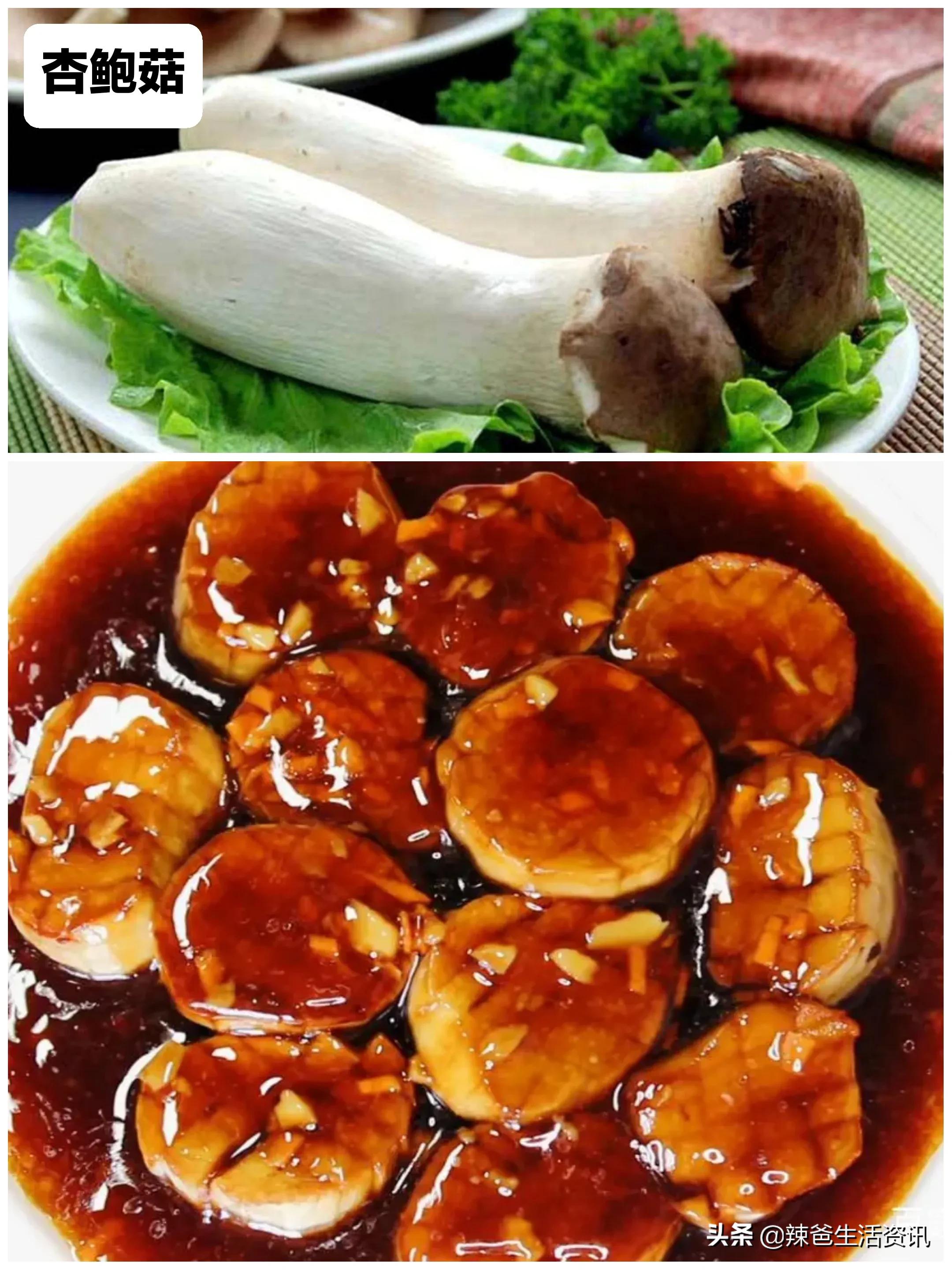 而且味道也鲜美,杏鲍菇则是"日本最爱吃的蘑菇排行榜"中第一位的蘑