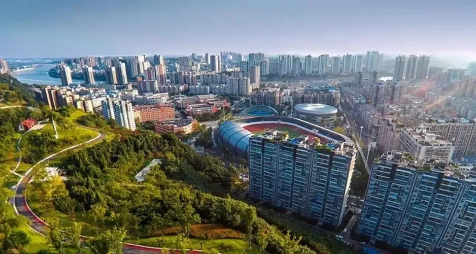 天网恢恢:20亿身家四川富豪死于非命,多年后雷晓伟团伙终被严惩