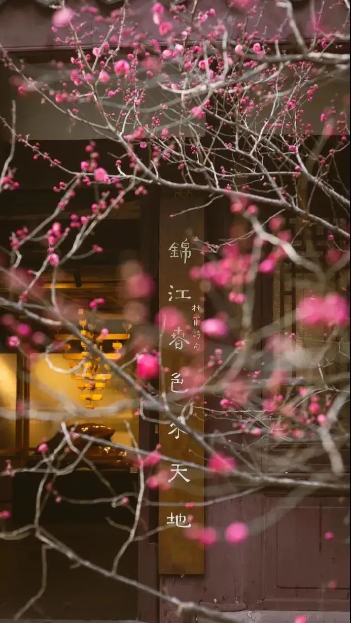 成都哪里好玩（实用！成都15个最值得去的公园全在这里！）