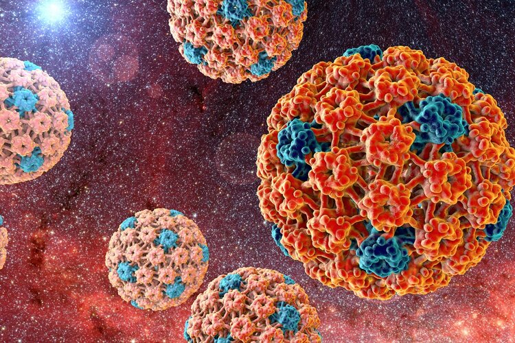 男性感染HPV，或增加3种癌症风险！医生：主要有3种传播途径