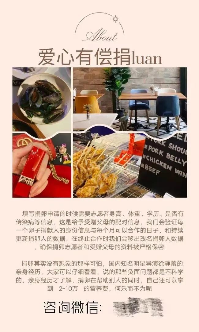 起底卖卵黑市：专攻女大学生，颜值学历成卖点，不打麻药穿刺下身