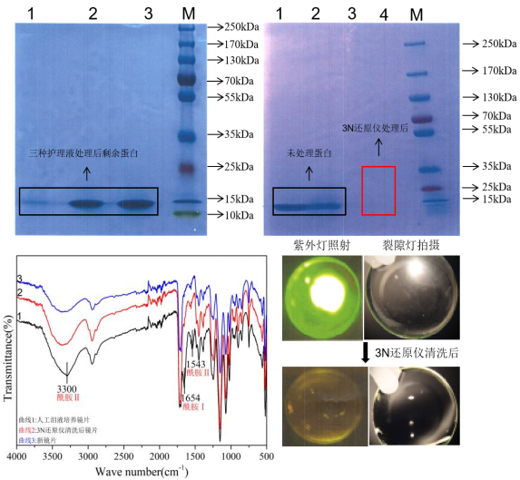 ȫ��������Ĥ�Ӵ�����Ч�������豸��3N�����۾���ԭ����ͨ����֤