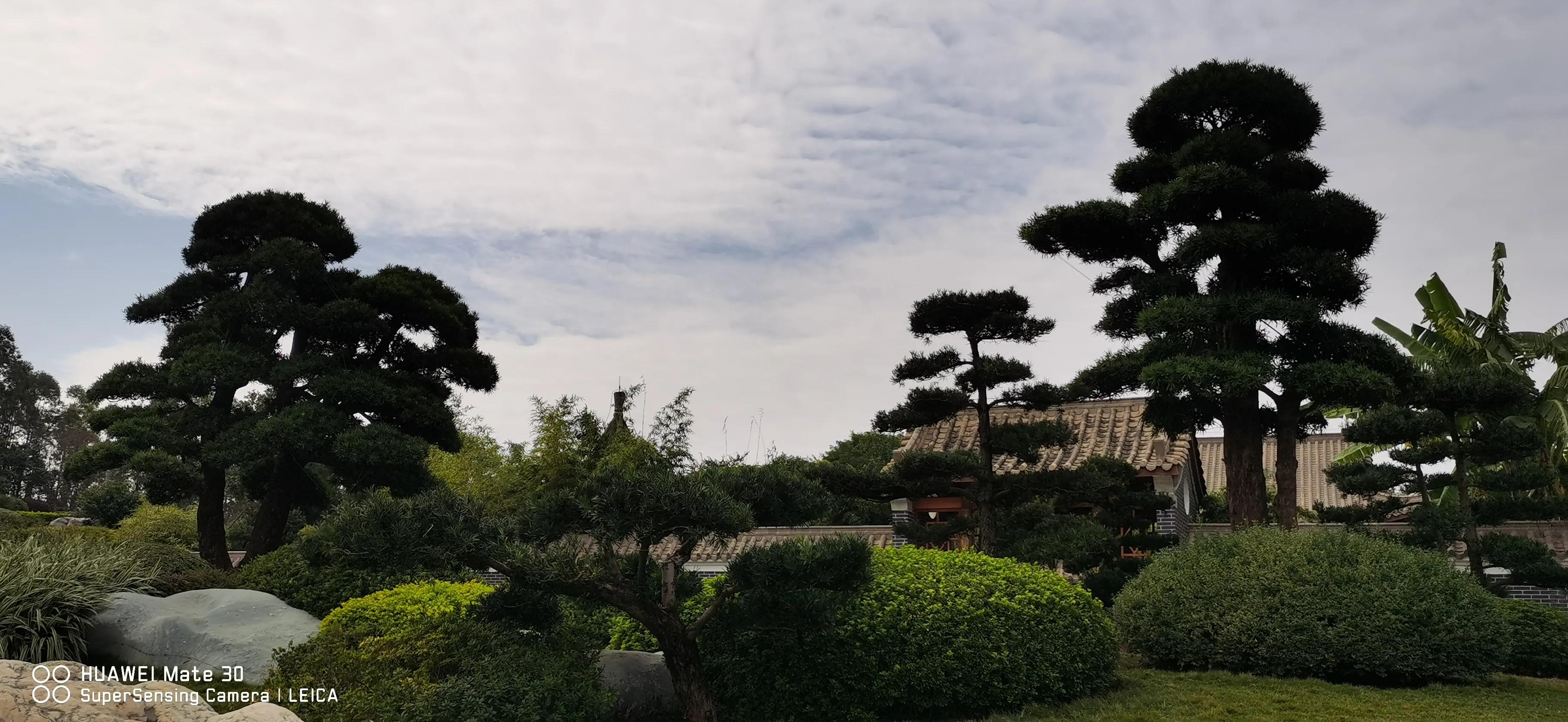 南宁园博园要门票吗（南宁园博园门票多少钱）