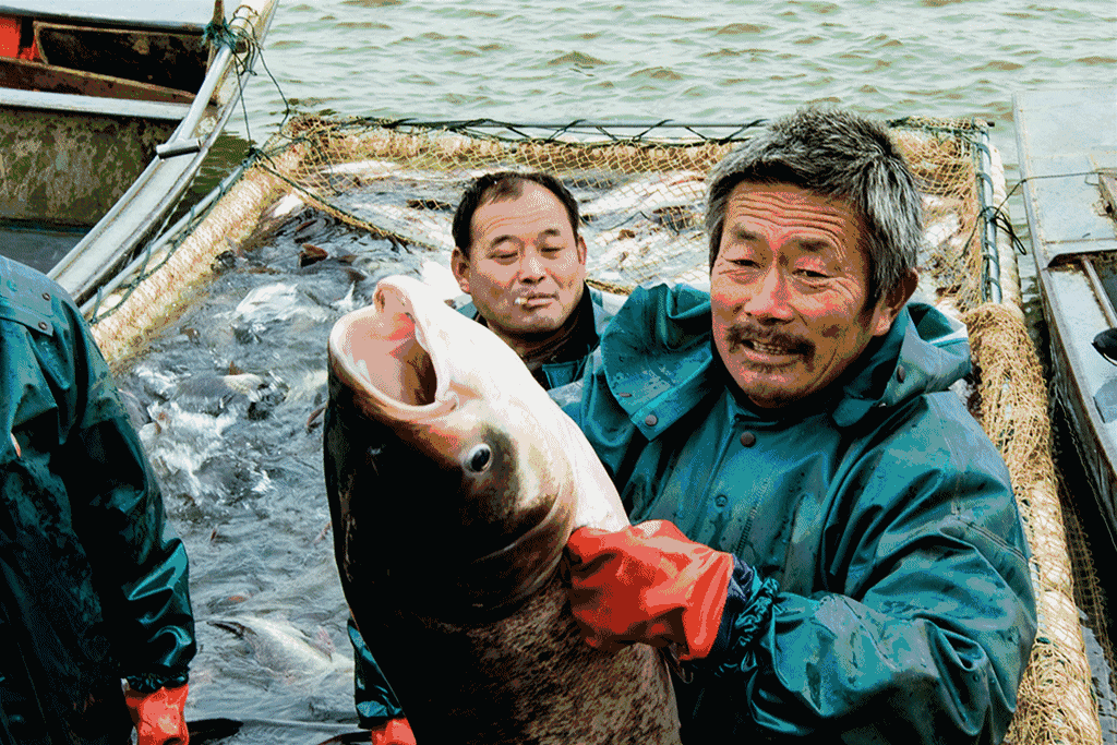 中国钓鱼岛为什么叫钓鱼岛？它到底有多大？岛上能住人吗？