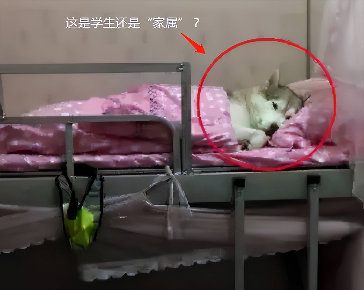 大学老师查寝就像开盲盒，违禁品层出不穷，男生寝室还有“水床”