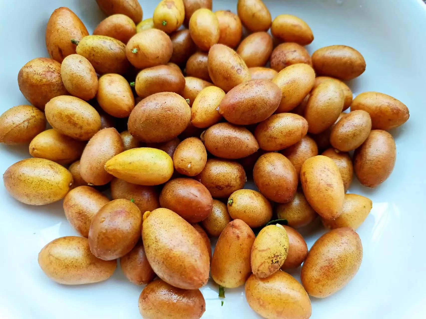 三伏天,别光给孩子喝酸梅汤,试试黄皮,酸甜可口,清热解暑真棒