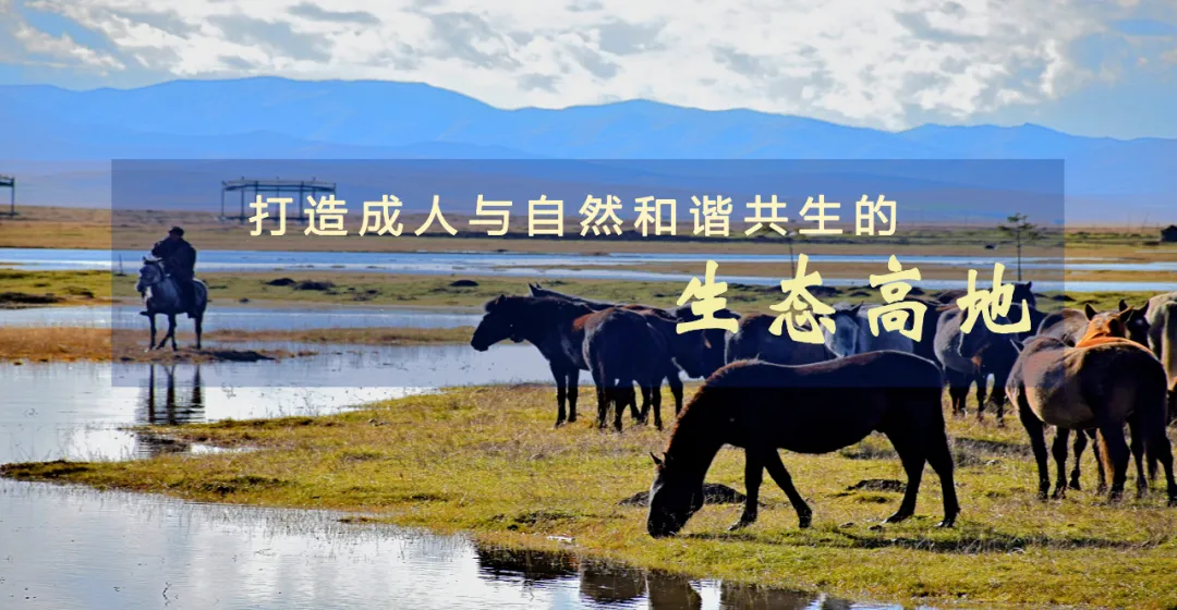 请回答,甘南2025!