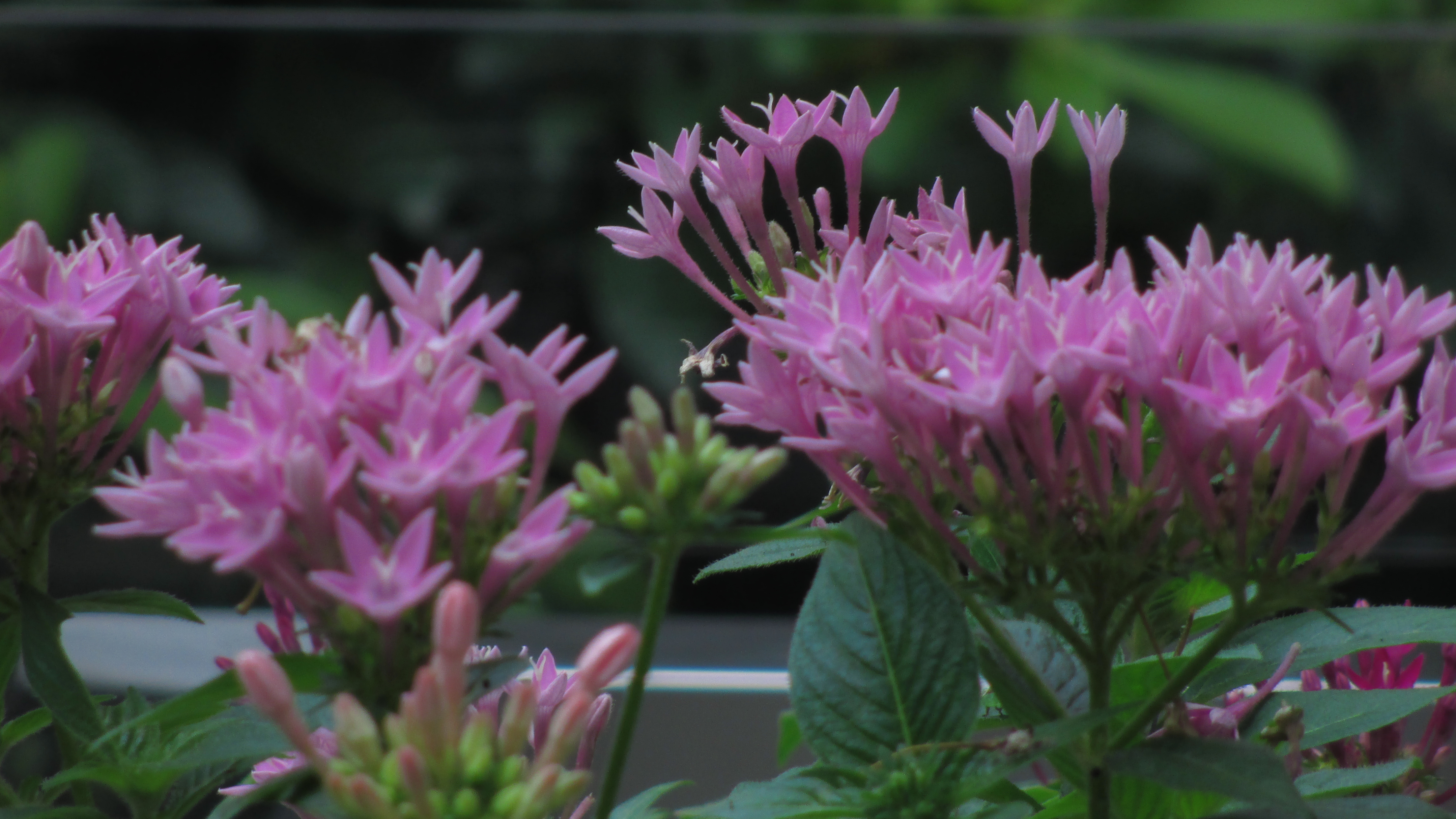 被时代淘汰的CCD卡片机，在小红书上重新走红