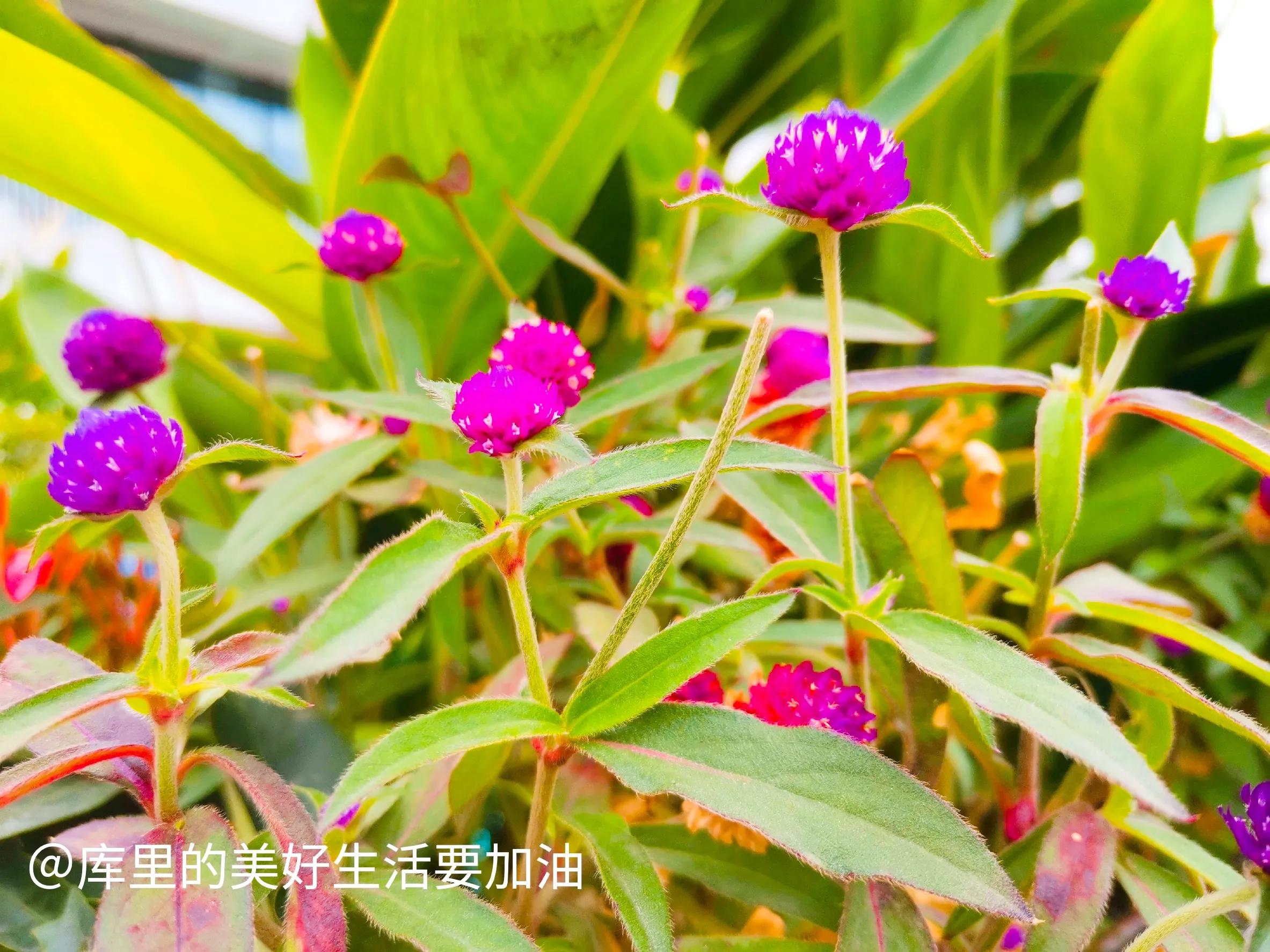 五个翻身的小生意