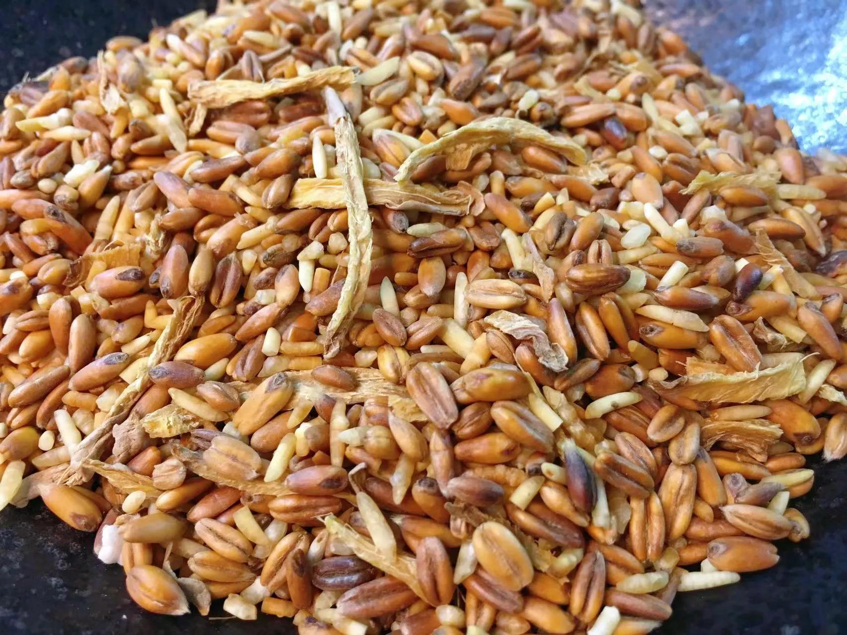 燕麥米和生薑炒一炒，沒想到這麼厲害，我傢一年四季都在喝