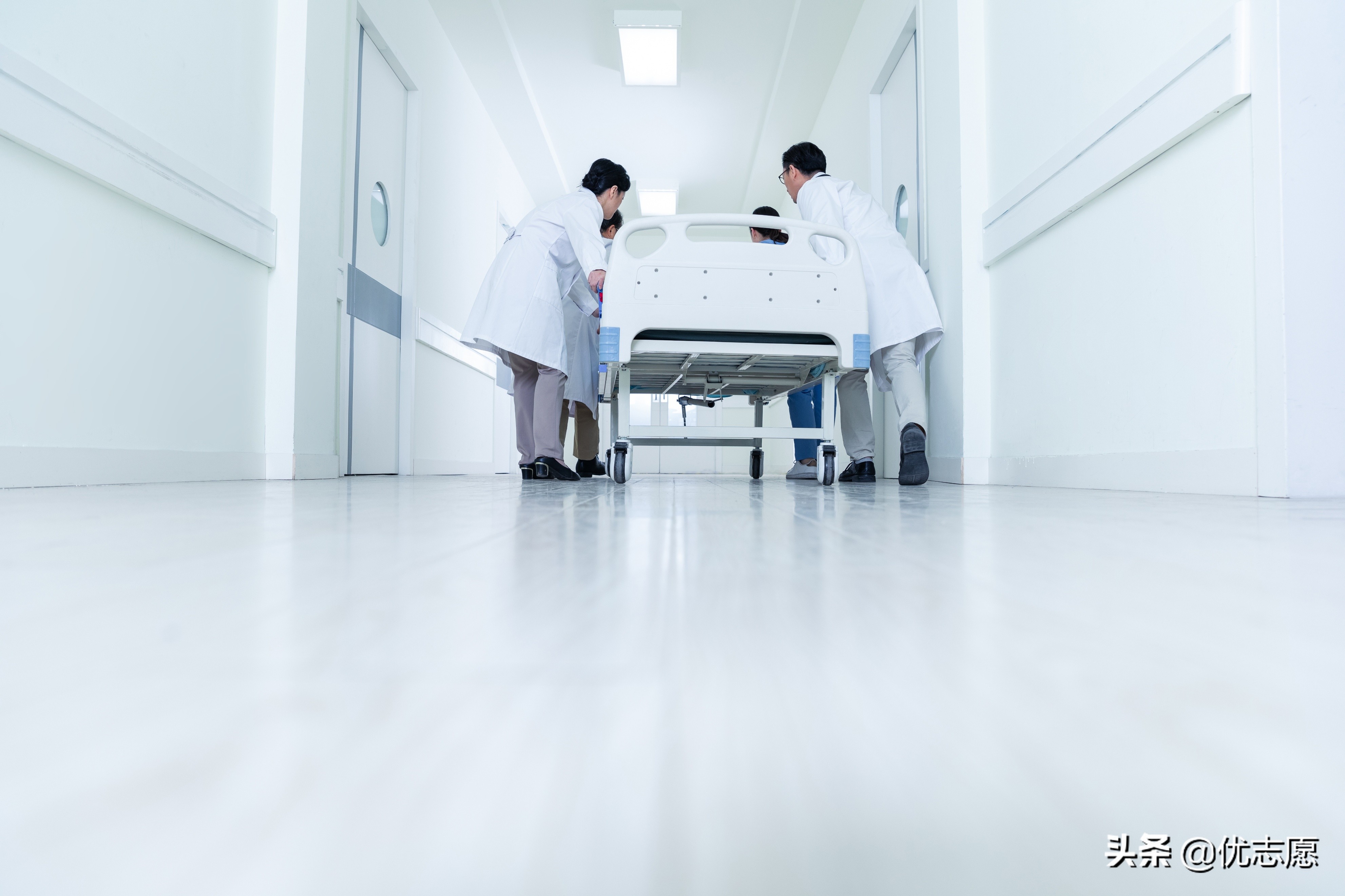 2022年全国护理学类专业招生变动分析来啦，云贵等地计划占比较高